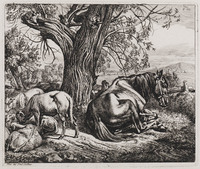 KG 01568
<br/>
Paard en schapen bij een boom
<br/>
<em>Klein, Johann Adam (1792-1875)</em>
